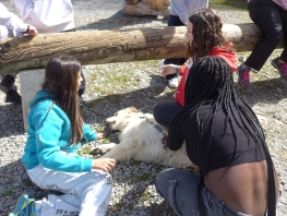 25 Improbable 3 020.jpg